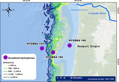 Acoustic indices respond to specific marine mammal vocalizations and sources of anthropogenic noise